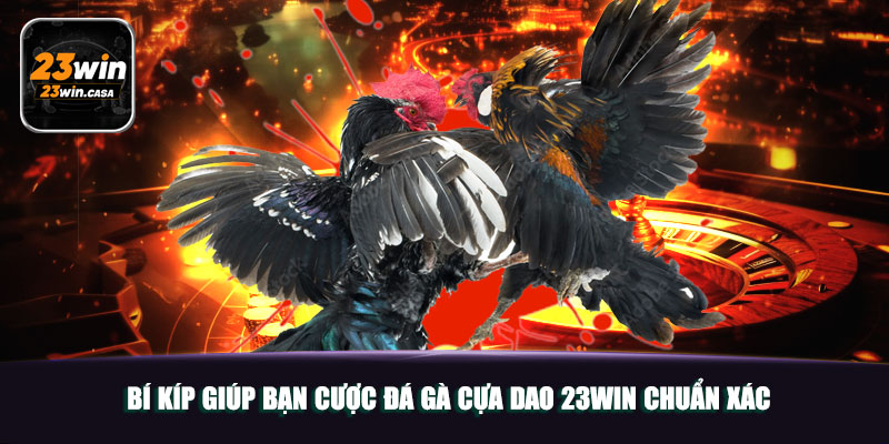 Khám Phá Đá Gà Cựa Dao Đỉnh Cao Tại 23WIN 4 Bí Kíp Giúp Bạn Cược Đá Gà Cựa Dao 23WIN Chuẩn Xác