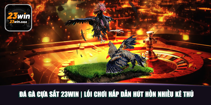 Đá Gà Cựa Sắt 23win | Lối Chơi Hấp Dẫn Hút Hồn Nhiều Kê Thủ 3 Đá Gà Cựa Sắt 23win | Lối Chơi Hấp Dẫn Hút Hồn Nhiều Kê Thủ