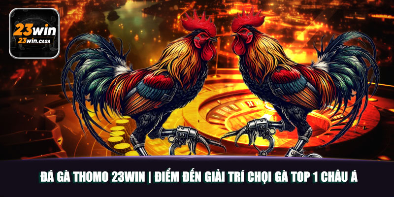 Đá Gà Thomo 23win | Điểm Đến Giải Trí Chọi Gà Top 1 Châu Á 4 Đá Gà Thomo 23win | Điểm Đến Giải Trí Chọi Gà Top 1 Châu Á