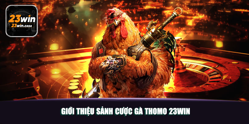 Đá Gà Thomo 23win | Điểm Đến Giải Trí Chọi Gà Top 1 Châu Á 4 Giới thiệu sảnh cược gà Thomo 23win
