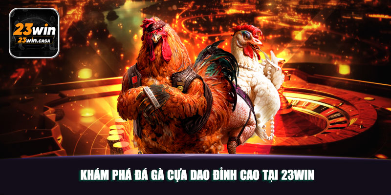 Khám Phá Đá Gà Cựa Dao Đỉnh Cao Tại 23WIN 2 Khám Phá Đá Gà Cựa Dao Đỉnh Cao Tại 23WIN