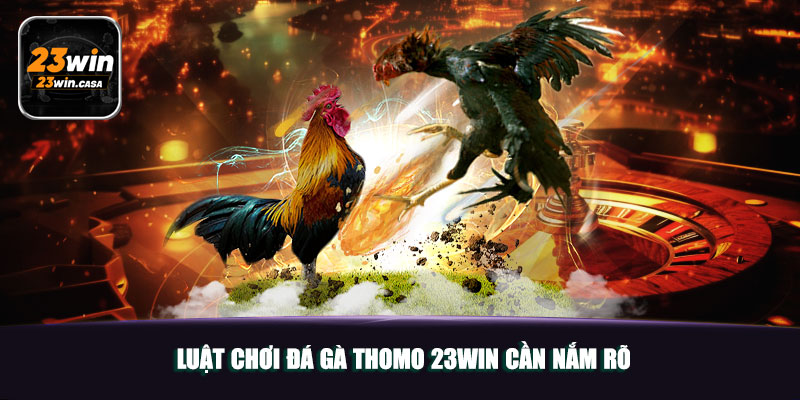 Đá Gà Thomo 23win | Điểm Đến Giải Trí Chọi Gà Top 1 Châu Á 5 Luật chơi đá gà Thomo 23win cần nắm rõ