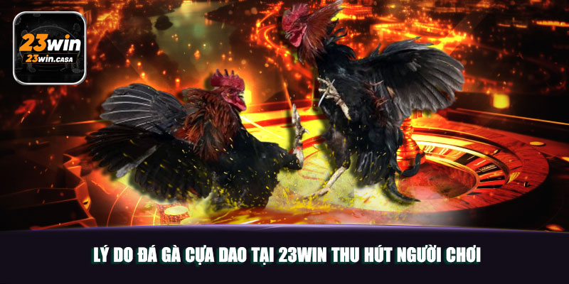 Khám Phá Đá Gà Cựa Dao Đỉnh Cao Tại 23WIN 3 Lý Do Đá Gà Cựa Dao Tại 23WIN Thu Hút Người Chơi