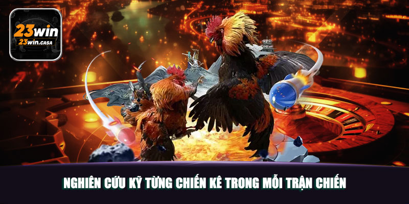 Đá Gà Thomo 23win | Điểm Đến Giải Trí Chọi Gà Top 1 Châu Á 6 Nghiên cứu kỹ từng chiến kê trong mỗi trận chiến
