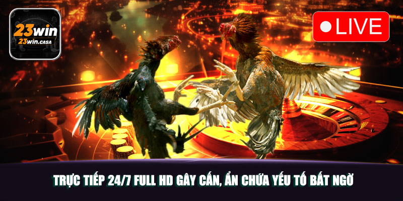 Đá Gà Cựa Sắt 23win | Lối Chơi Hấp Dẫn Hút Hồn Nhiều Kê Thủ 6 Trực tiếp 24/7 full HD gây cấn, ẩn chứa yếu tố bất ngờ